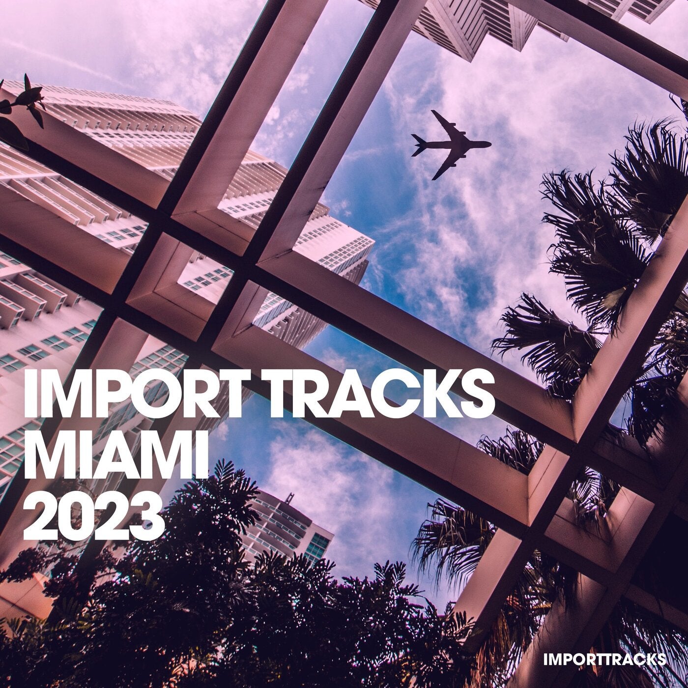 Zoura DS, Paco Caniza – Import Tracks Miami 2023 [ITCOMP002]