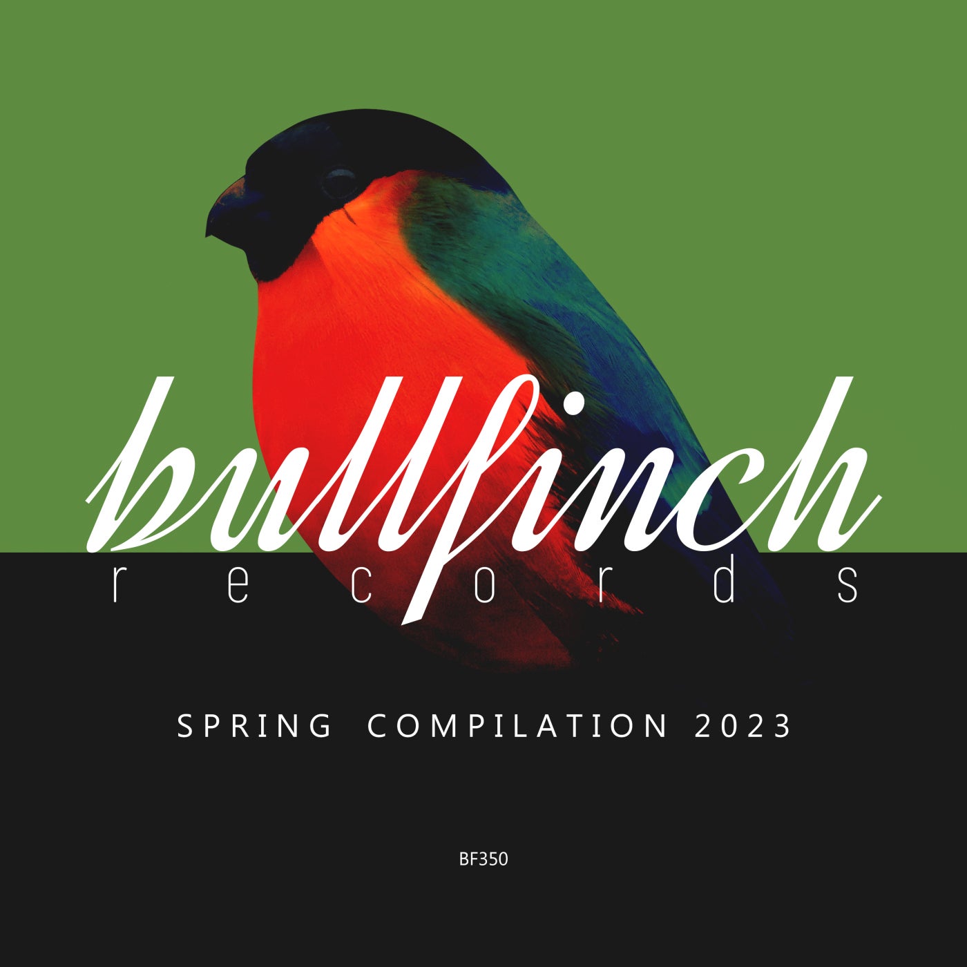 Hadiid, Whistral – Bullfinch Spring 2023 Compilation [BF350]
