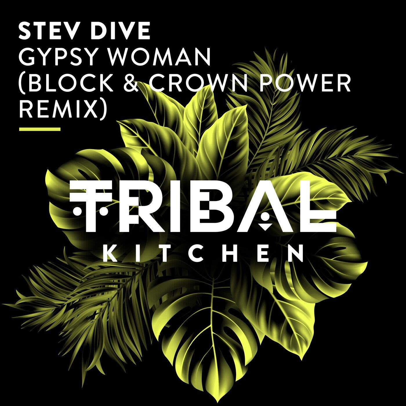 Stev Dive, Block & Crown – Gypsy Woman (Block & Crown Power Remix) [TK256]