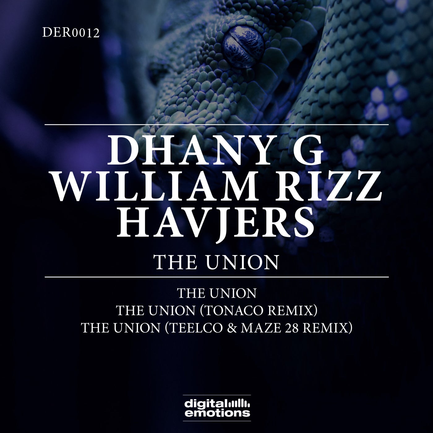 Dhany G, William Rizz – The Union [DER0012]