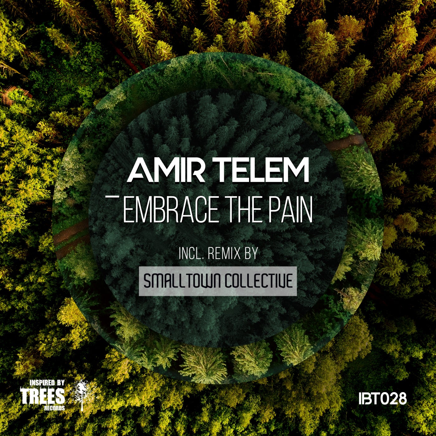 Amir Telem, Smalltown Collective – Embrace the Pain [IBT028]