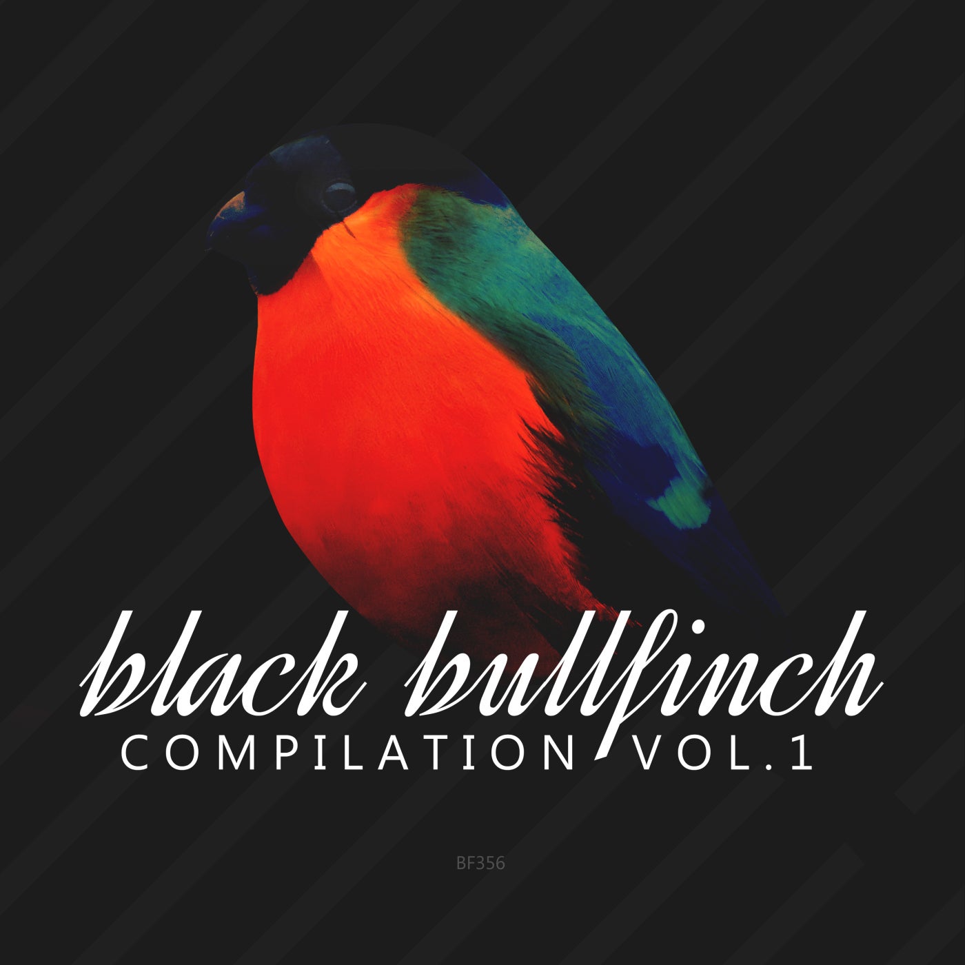 Rauschhaus, Frezel – Black Bullfinch Compilation, Vol. 1 [BF356]