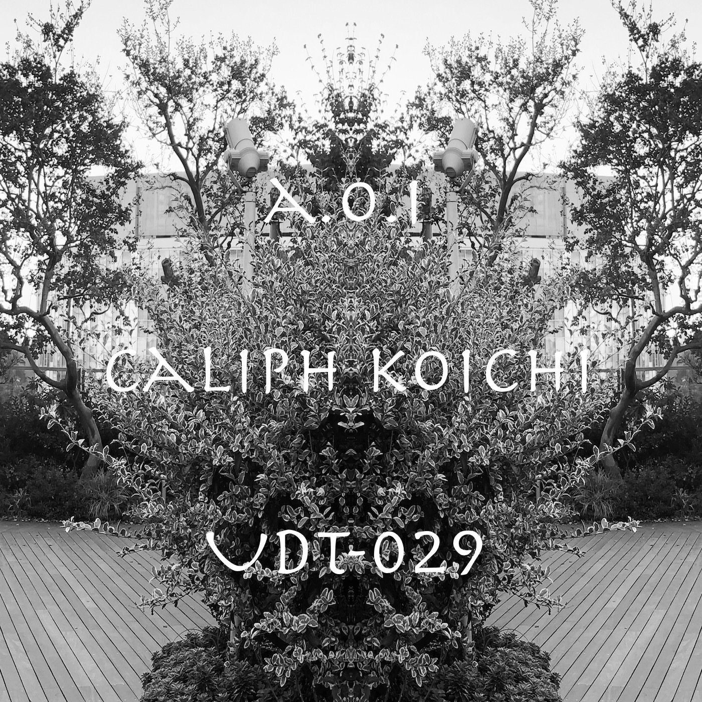 Caliph Koichi – A.o.i [UDT029]