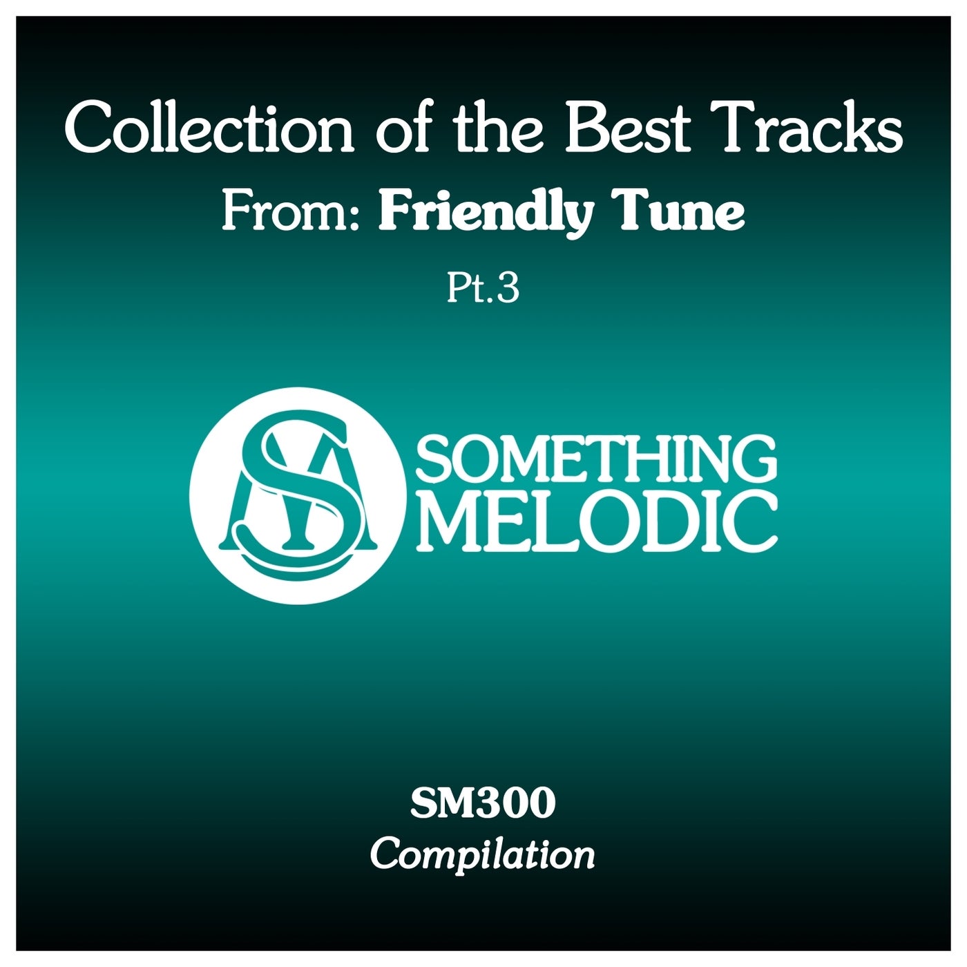 Friendly Tune – Collection of the Best Tracks From: Friendly Tune, Pt. 3 [SM300]