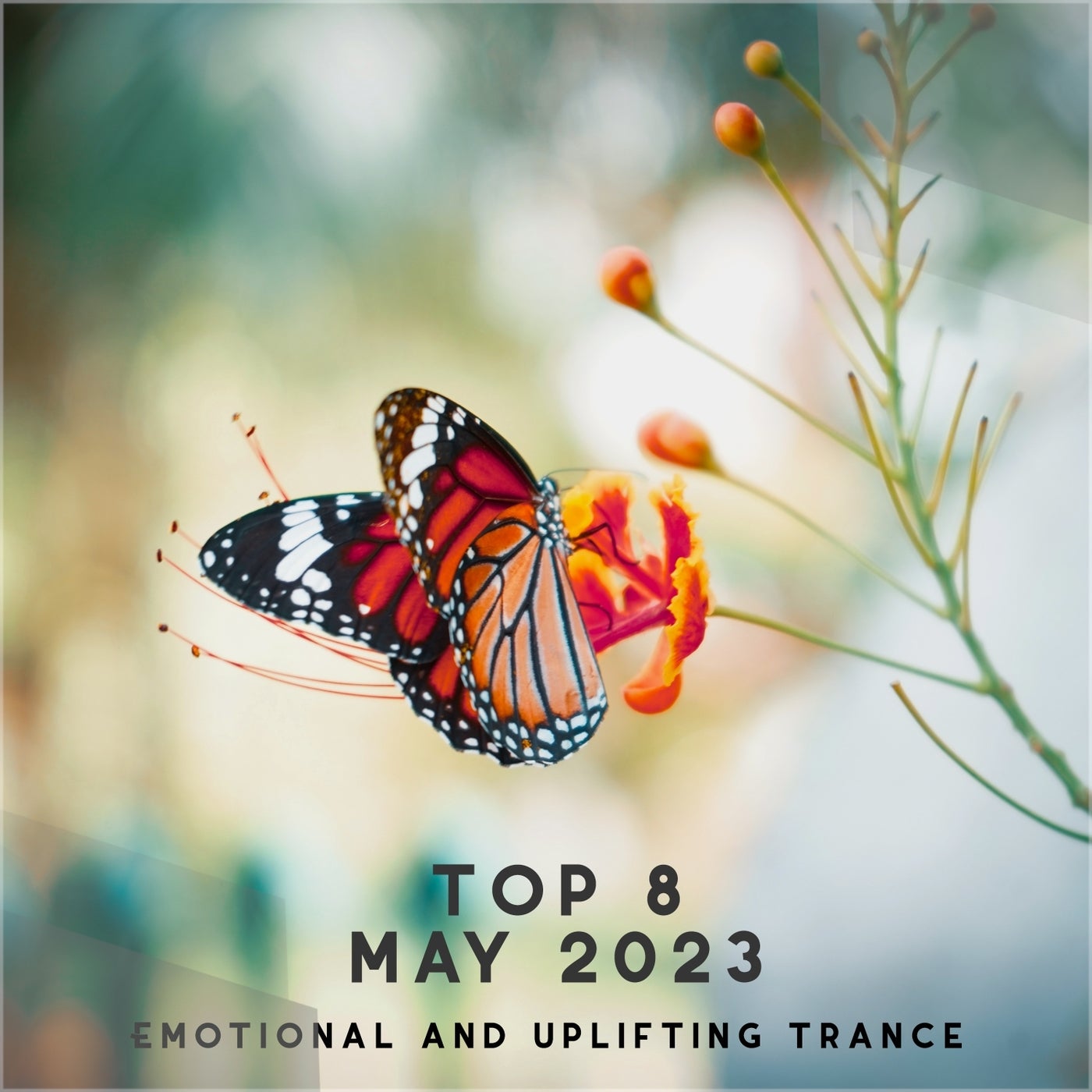 Masaru Hinaiji, Sam Fletcher – Top 8 May 2023 Emotional and Uplifting Trance [TOP8MAY2023]