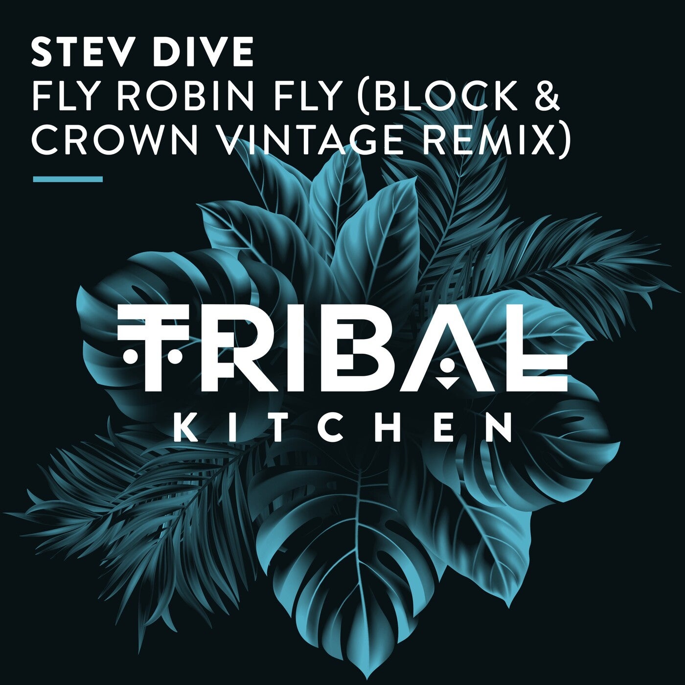 Stev Dive, Block & Crown – Fly Robin Fly (Block & Crown Vintage Remix) [TK273]