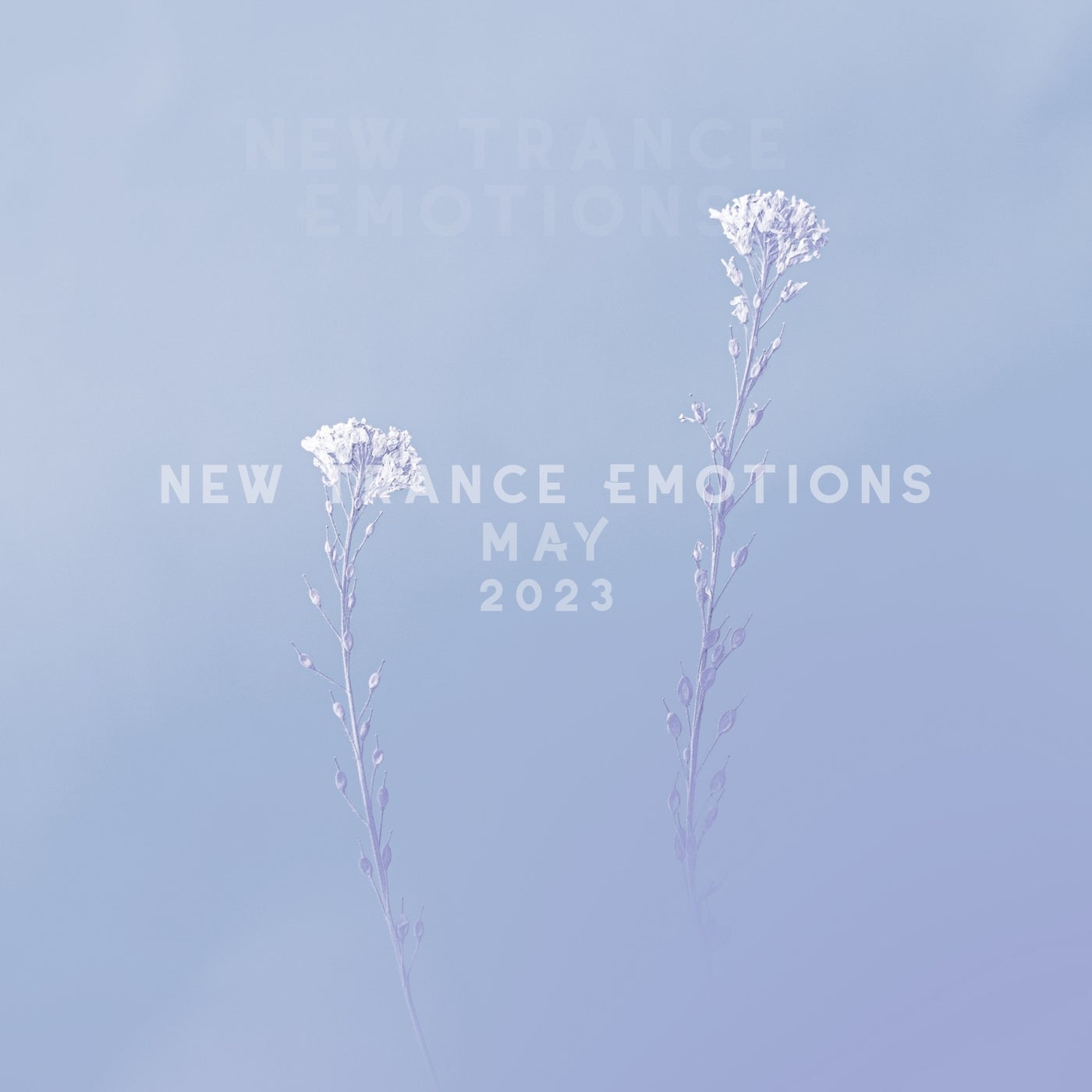 DreamLife, Grande Piano – New Trance Emotions May 2023 [MAY2023]