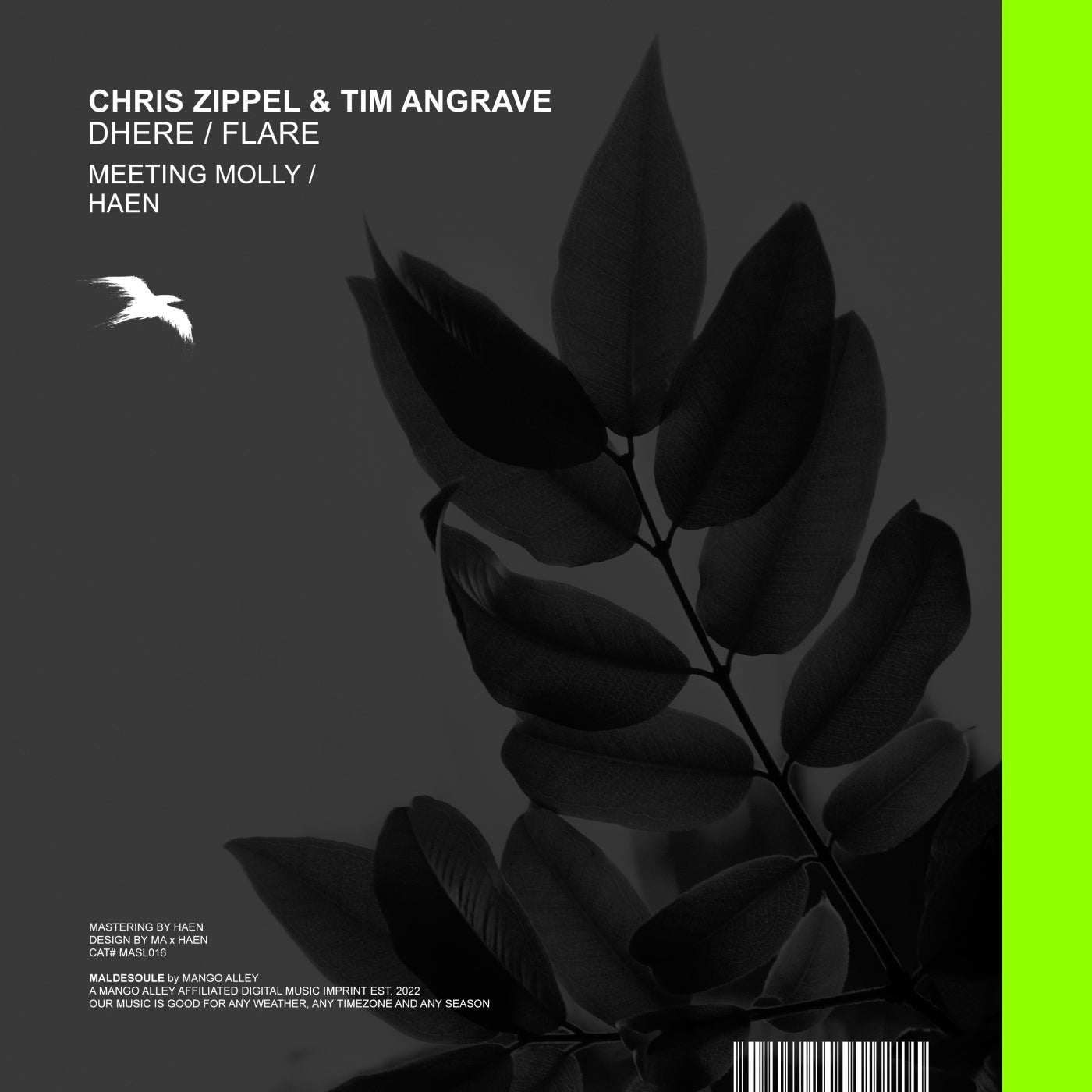 Chris Zippel, Tim Angrave – Dhere / Flare [MASL016]