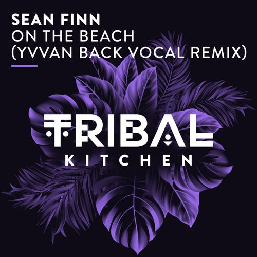 Yvvan Back, Sean Finn – On the Beach (Yvvan Back Vocal Remix) [TK282]