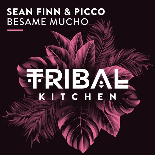 Picco, Sean Finn – Besame Mucho [TK284]