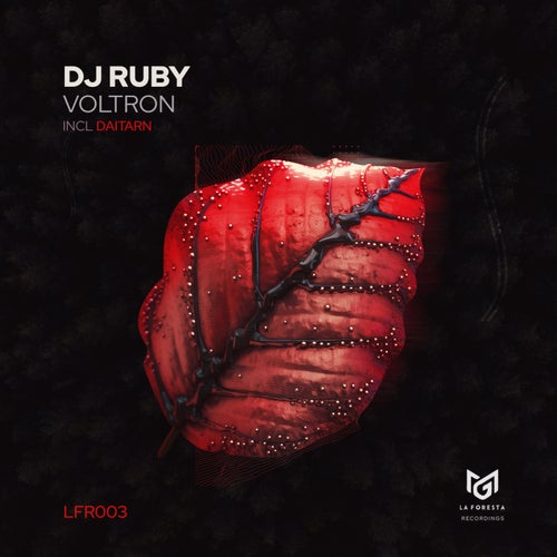 DJ Ruby – Voltron [003]