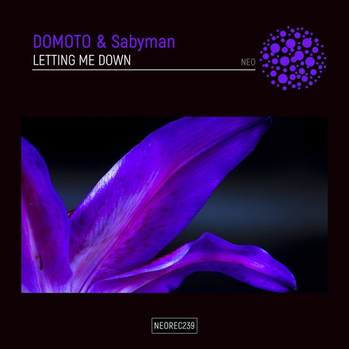 DOMOTO, Sabyman – Letting Me Down [NEOREC239]