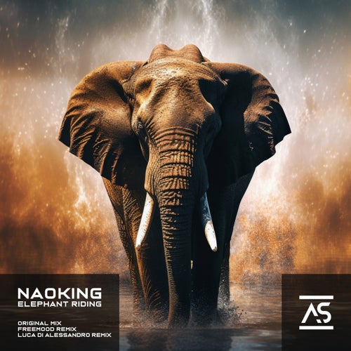 Naoking, Freemood – Elephant Riding [ASR563]