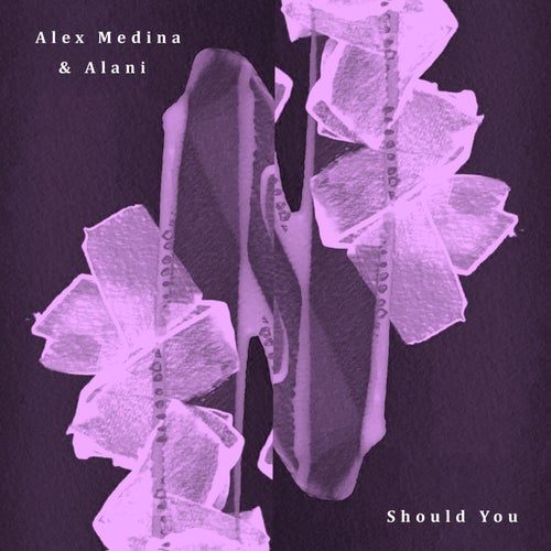Alex Medina, Alani – Should You / Broken Window [MB029]