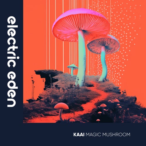KAAI – Magic Mushroom [EER170]