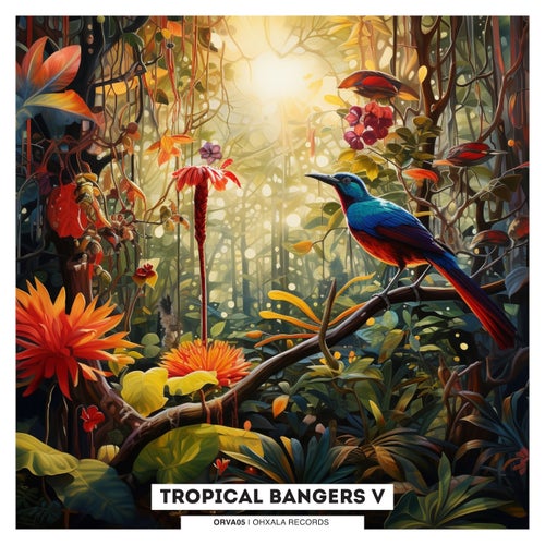 Voicheck, DJ Puk – Tropical Bangers V [ORVA05]