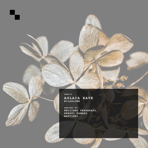 Aglaia Rave, Kenshi Kamaro – Wildblume [SRM030]