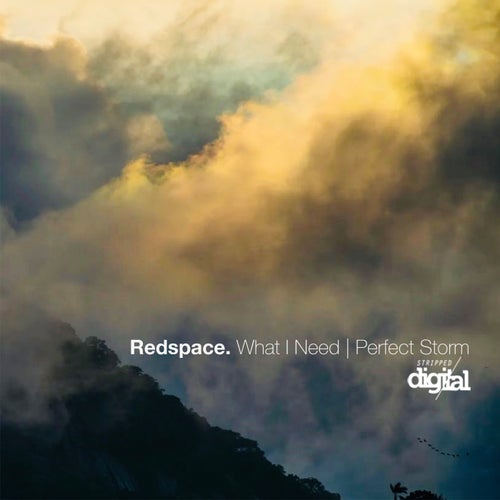 Redspace – What I Need | Perfect Storm [384SD]