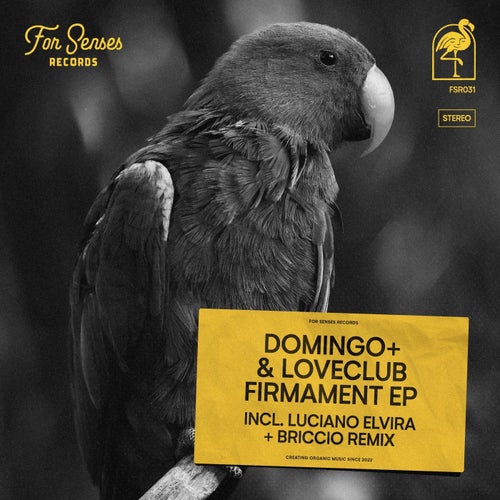 Domingo +, BRICCIO – Firmament [FSR031]