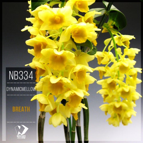 DynamicMellow – Breath [NB334]