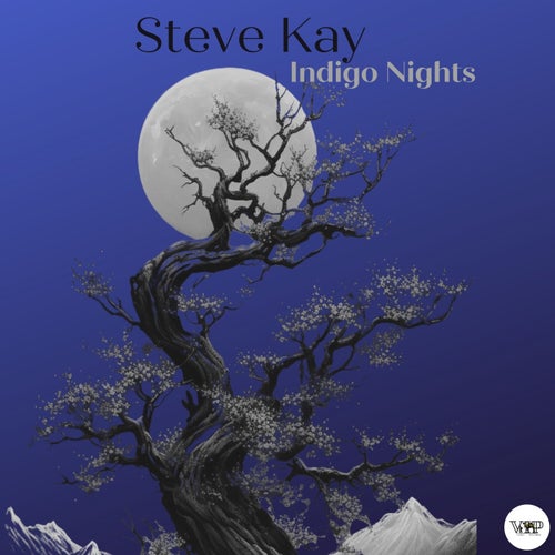 Steve Kay – Indigo Nights [CVIP220]