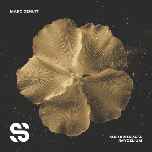 Marc Denuit – Mahabarata/Mycelium [SS4]
