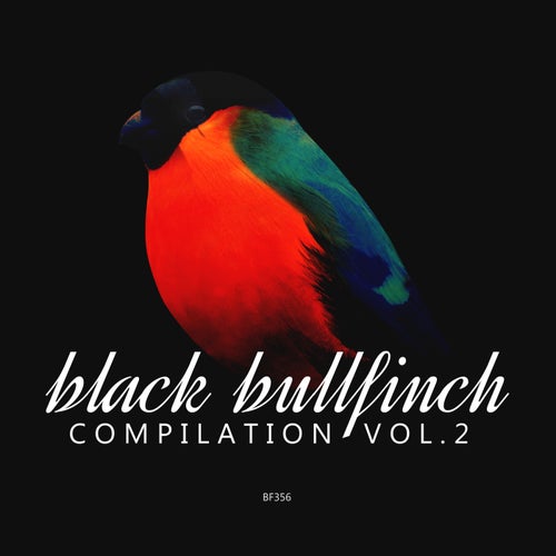 Farnawany, Martin Specchiale – Black Bullfinch Compilation, Vol. 2 [BF369]