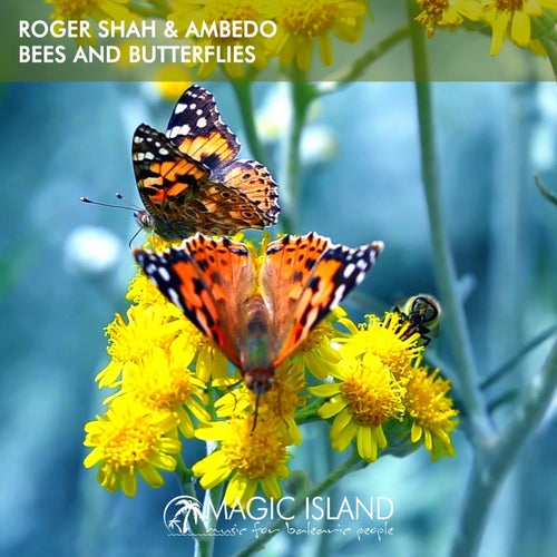 Ambedo, Roger Shah – Bees and Butterflies [ELEVATE104]