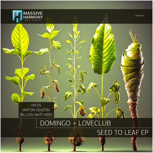 Domingo +, HiyÅ«s – Seed to Leaf [MHR553]