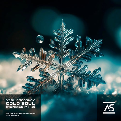 Dmitry Kostyuchenko, Vasily Goodkov – Cold Soul (Remixes, Pt. 3) [ASR633]