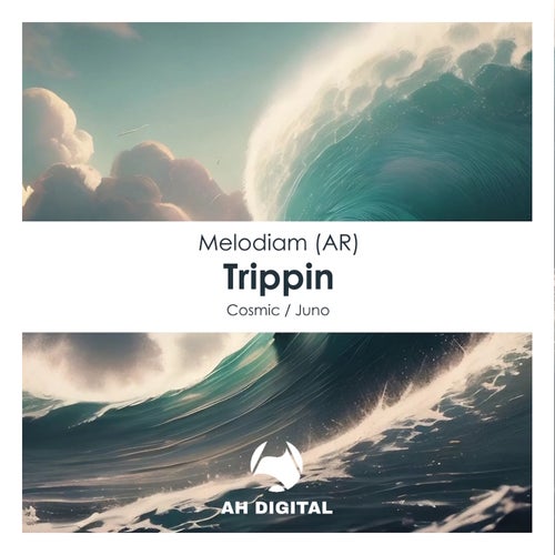 Melodiam (AR) – Trippin [AHD350]