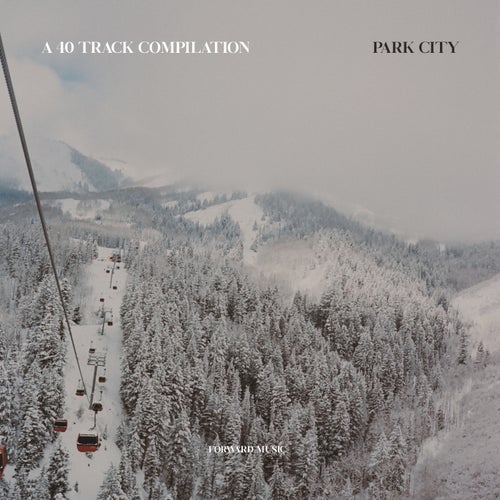 Dreamteller, Dreamteller – A 40 Track Compilation: Park City [FM062LP]
