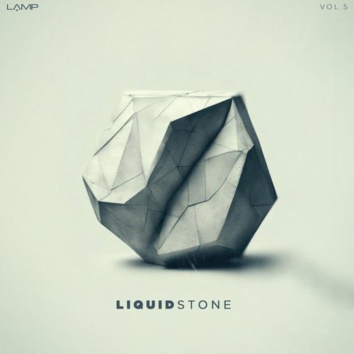 Dubliss, Following Light – Liquid Stone, Vol. 5 [LP696]