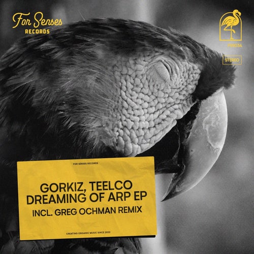 Gorkiz, TEELCO – Dreaming of Arp [FSR034]