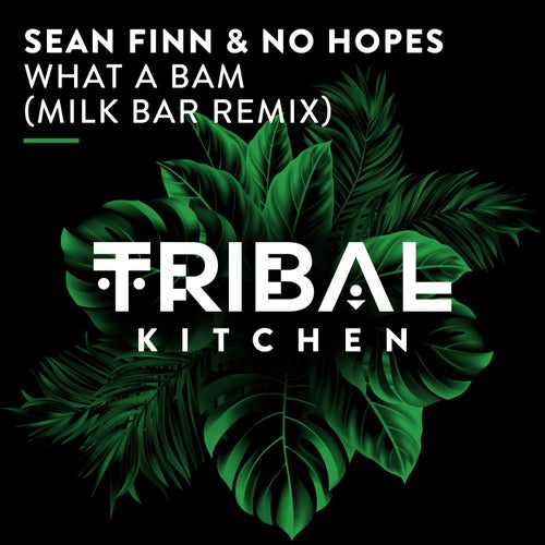 No Hopes, Sean Finn – What a Bam (Milk Bar Remix) [TK334]