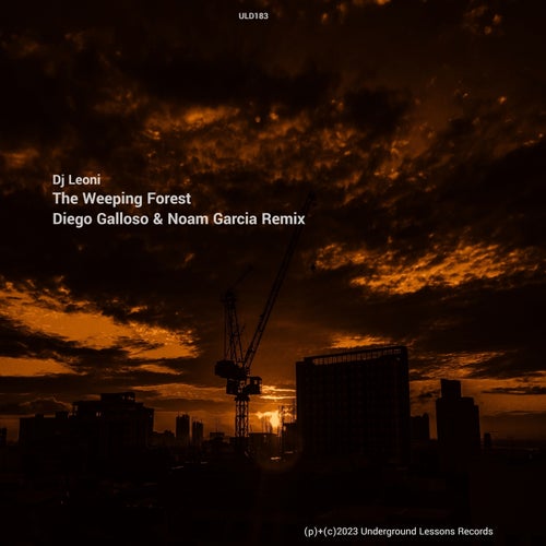 Diego Galloso, DJ Leoni – The Weeping Forest (Diego Galloso & Noam Garcia Remix) [ULD183]