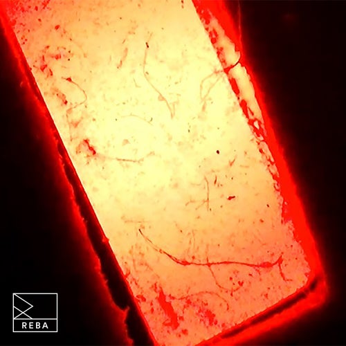Remcord – Burn EP [REBA016]