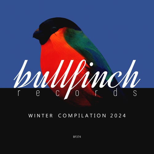 MINOZZO, Farnawany – Bullfinch Winter 2024 Compilation [BF374]