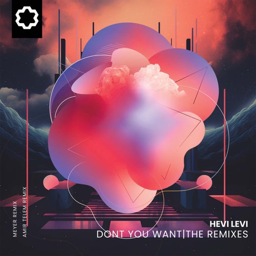 Meyer, HEVI LEVI – Don’t You Want (The Remixes) [JH0017RB]