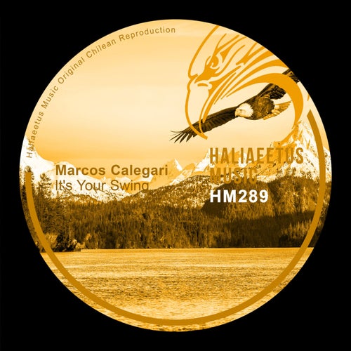Marcos Calegari – It’s Your Swing [HM0289]