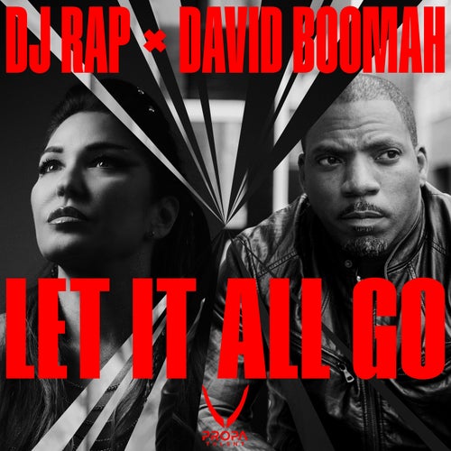 David Boomah, DJ Rap – Let It All Go [PTUSA196]