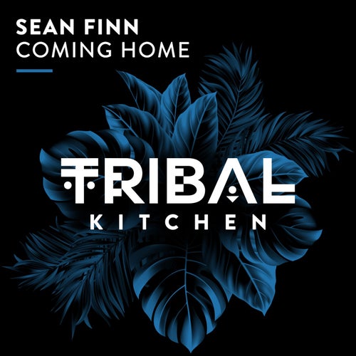 Sean Finn – Coming Home [TK365]
