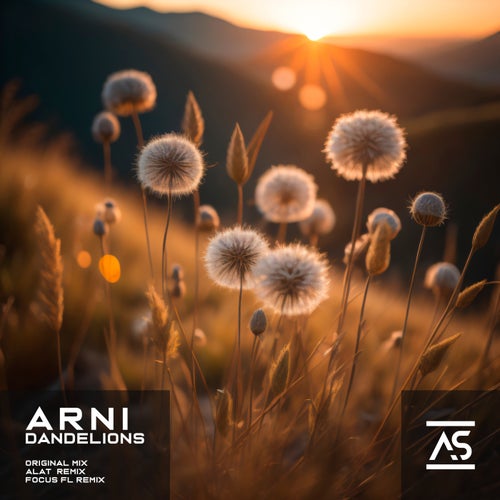 Focus FL, Alat – Dandelions [ASR660]