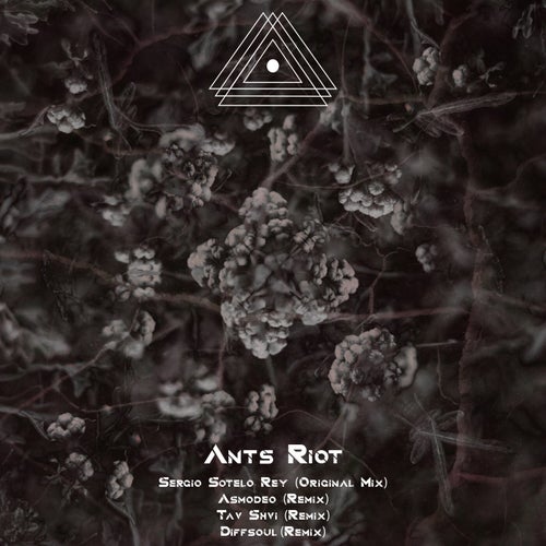 Diffsoul, Tav Shvi – Ants Riot [PALLR004]