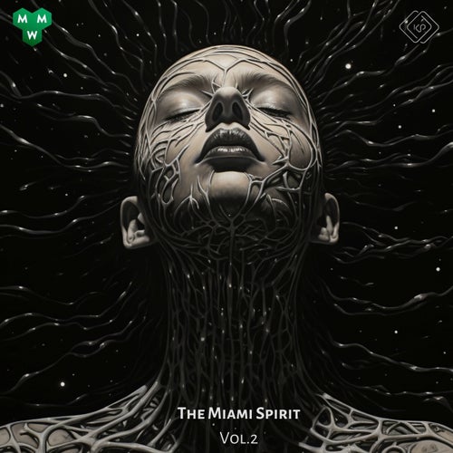 AnAmStyle, Surge In Madness – The Miami Spirit, Vol. 2 [KP681]