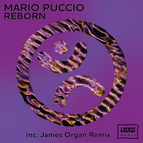 Mario Puccio, James Organ – Reborn [INTU011]