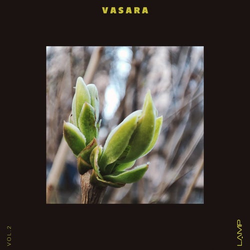 Hard Dive, Mechanical Fusion – Vasara, Vol. 2 [LP808]