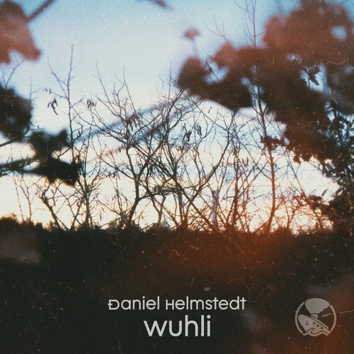 Plunk.ton, Daniel Helmstedt – Wuhli [DSRDIGI039]