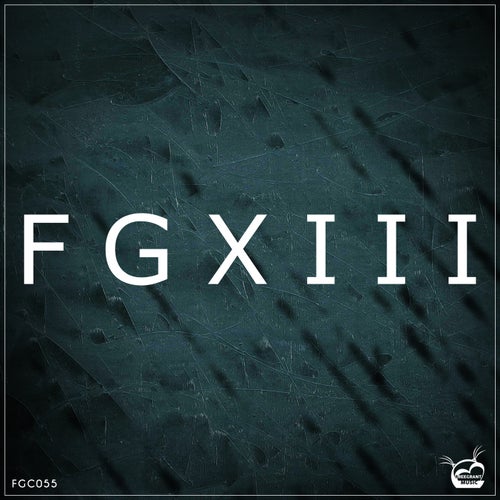 AO (MX), Arsanit – FGXIII (13th Years Anniversary) [FGC055]