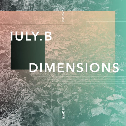 IULY.B – Dimensions [ADAMLP003]